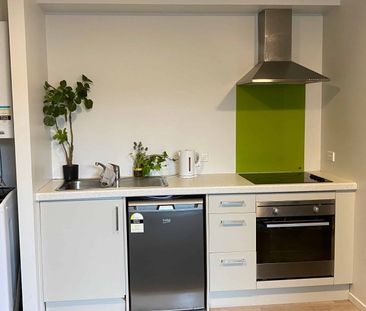 5/2 Rm A Palmerston Street - Photo 4