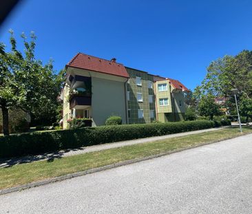 Mietwohnung in zentraler Lage - Photo 5