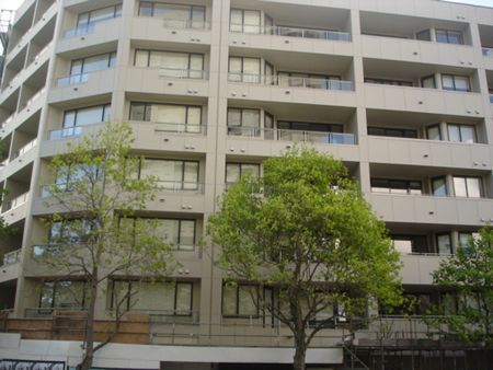 Large Two Bedroom Apartment - Photo 4