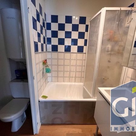 Location Appartement 1 pièce 29m² - Photo 3