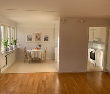 Otteshagen: Etta i lummigt område på nedre botten - Photo 5