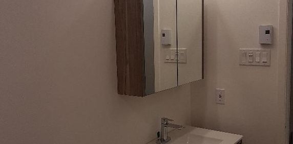 Saint-Rémi, 3 1/2 rénové à louer - Photo 2