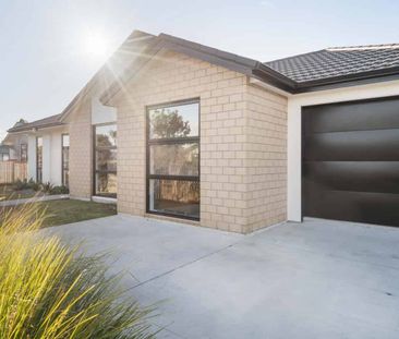 Contemporary comfort - 20 Bronze Court Papamoa - Photo 4