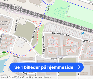 Frøstjernestræde 7, 1. tv - Foto 1