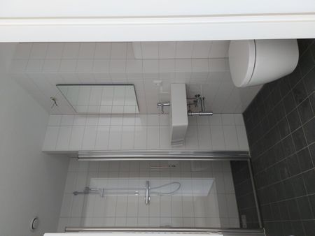 Te huur: Omegaplantsoen 421 - Photo 5