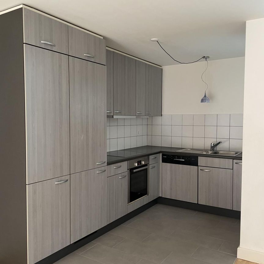 IMMEUBLE D'EXCEPTION - Rue du Manège 19 - appartement au 2ème Nord-Est - DUPLEX - Photo 1