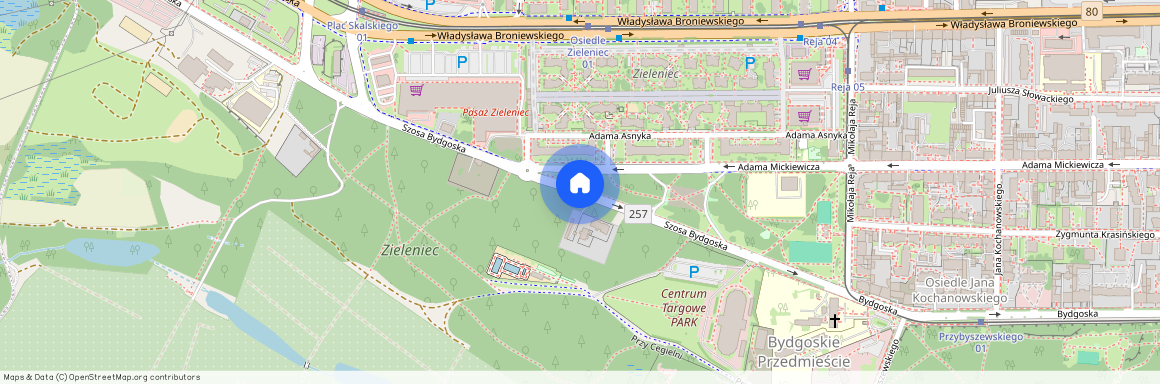 szosa Bydgoska, Bydgoskie Przedmieście, Toruń, kujawsko-pomorskie