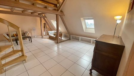 A LOUER - APPARTEMENT 2 PIECES MEUBLE - STRASBOURG - Photo 3