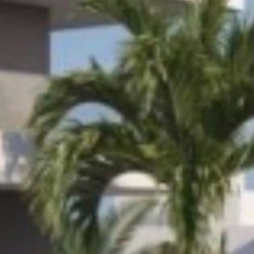 Μεζονέτα 66 τ.μ. για ενοικίαση, Αθήνα - Νότια Προάστια, Γλυφάδα - Photo 2