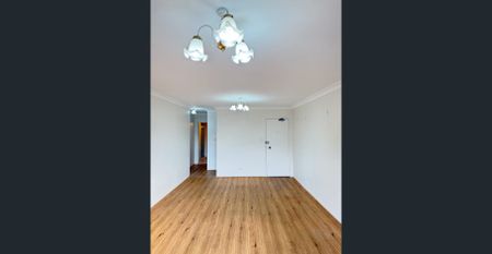 Light-Filled Renovated Home with No-Step Entry & Large Lock-Up Garage - Photo 3