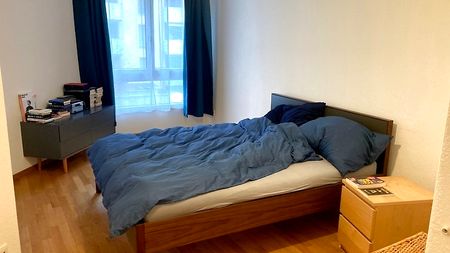 3½ Zimmer-Wohnung in Luzern, möbliert, auf Zeit - Foto 2