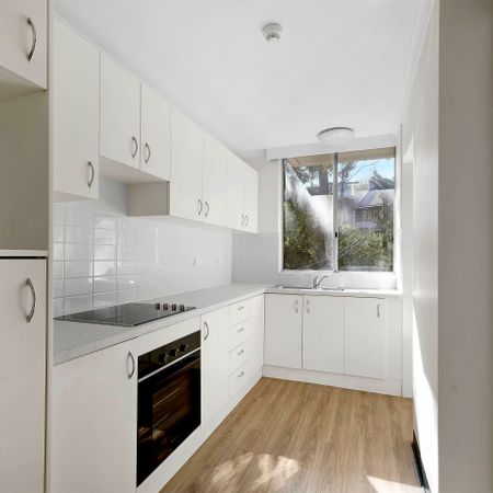 Spacious 2 Bedroom Apartment with lock up garage - Photo 3