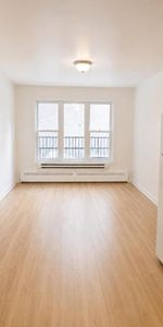 1 CH - 1 SDB - Montréal - $1,245 /mo - Photo 3