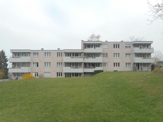 Happiness at first sight in the home - Photo 1