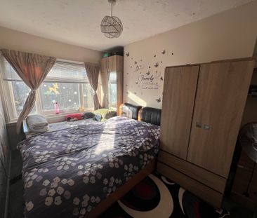 South Terrace, Hastings - Photo 4