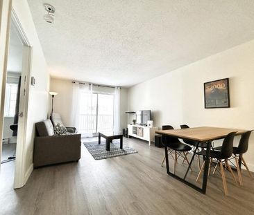 Appartement 3 ½ à louer Sainte-Foy / Sillery septembre 2026 - Photo 3