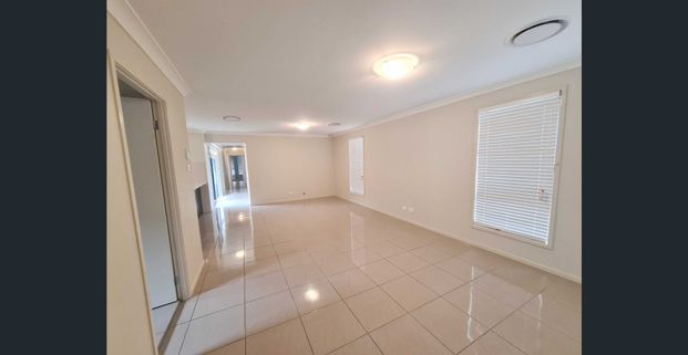 Modern & Stylish - Photo 1