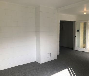 Downstairs Mount Flat! Mt Maunganui - Photo 1
