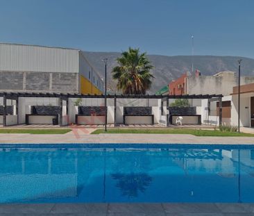 Nuevo León, Avenida Los Pinos, General Escobedo - Photo 4