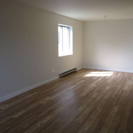 Appartement 2 chambres à louer Ville St-Laurent - Bois-Franc à Plaza Oasis - Photo 3