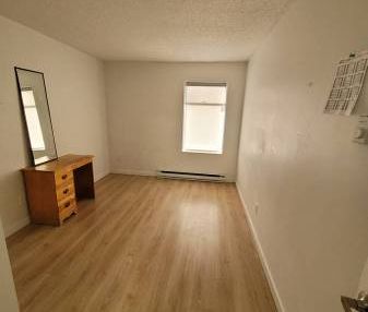 Renovated 1 Bed 1 Bath Pet Friendly - Photo 1