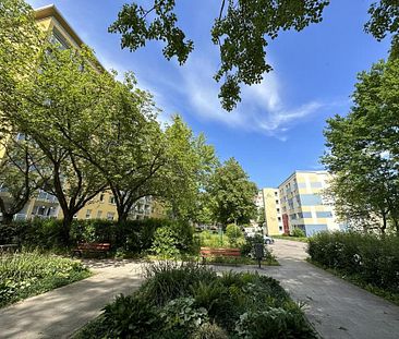 Unweit vom Stadtpark entfernt - tolle Familienwohnung mit Balkon - Photo 1