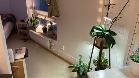 Ruddammsvägen, Stockholm - Foto 4