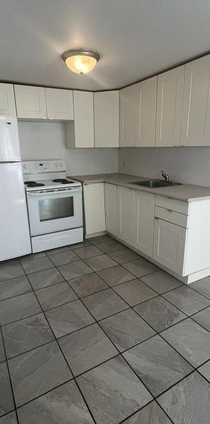 Grand 3½, 5 min, Métro CSteCatherine, Univ.Montréal, Hôpitaux, 1 avril - Photo 1