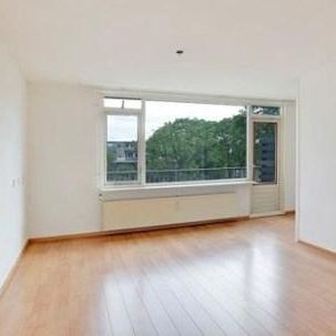 Texel, 3524 AZ Utrecht, Nederland - Foto 3