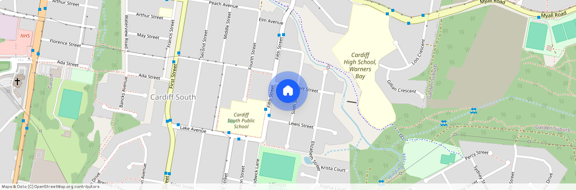 19 Sixth Street, NSW 2285, Cardiff South