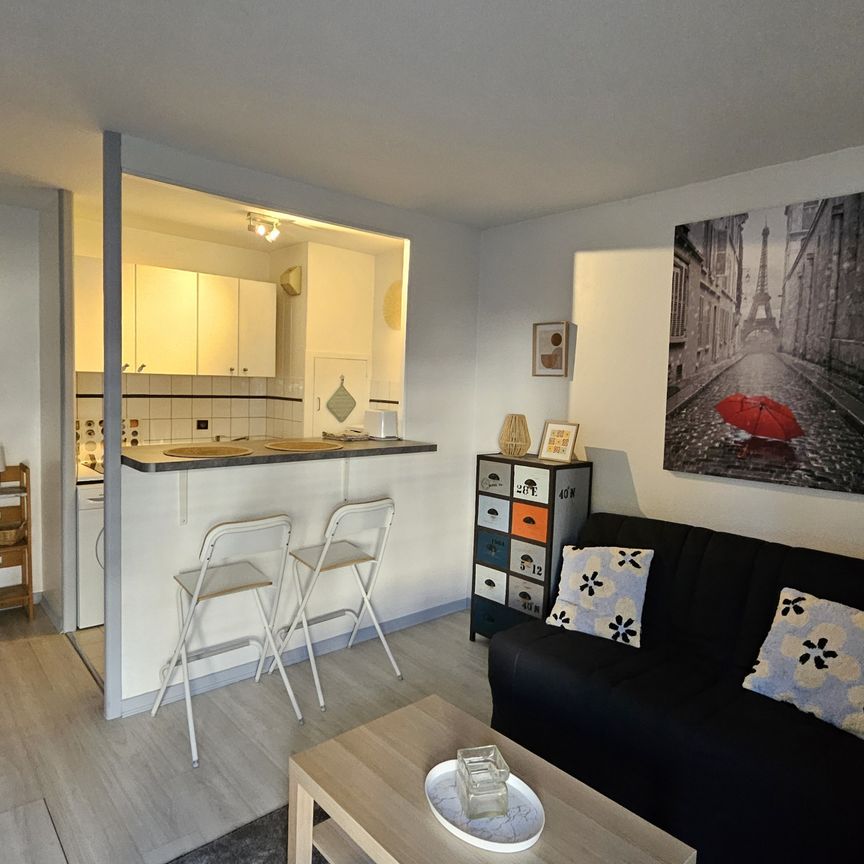 Location Appartement 1 pièce 28m² FONTAINEBLEAU 77300 - Photo 1