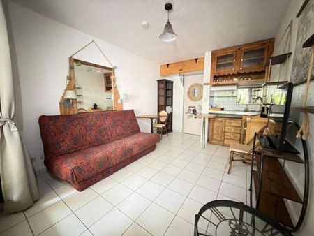 Location Appartement 1 pièce Meublé 19m² MONTPELLIER 34090 - Photo 2