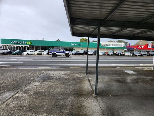 NEWLY RENOVATED 2-BEDROOM APT. FOR RENT - Photo 1