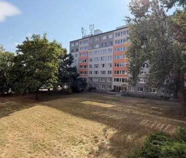 Pronájem, P-4, Podolí (Pankrác), 1+KK/L, 33 m - Photo 3