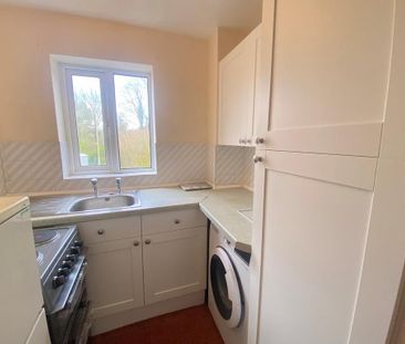 1 bedroom cluster house to rent - Photo 3