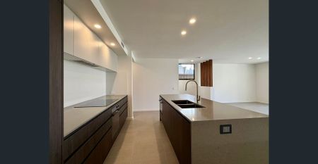 Rare Leasing Opportunity – Brand New Home by Sekisui House Please contact Wilson 0456277777 for inspection - Photo 4