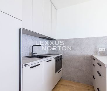 Apartment for rent, 1+KK - Studio, 39m - Photo 4