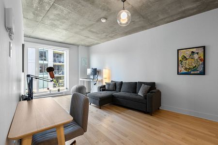 Condo for rent, Montréal (Le Sud-Ouest) - Photo 3