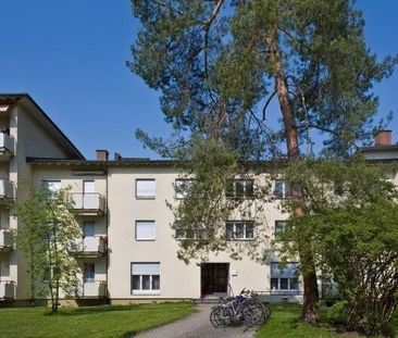 Gemütliche Wohnung in Birsfelden gesucht? - Photo 4