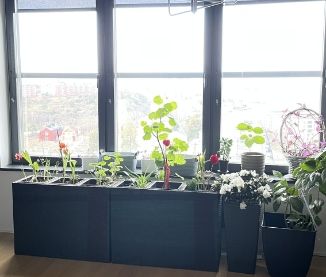 Nacka - 1rok - tillsv - 12.650kr/mån - Foto 5