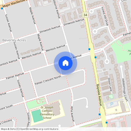 428 Palmer Avenue Unit# Main FL, Richmond Hill