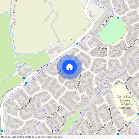 Azalea Road, Wick St Lawrence