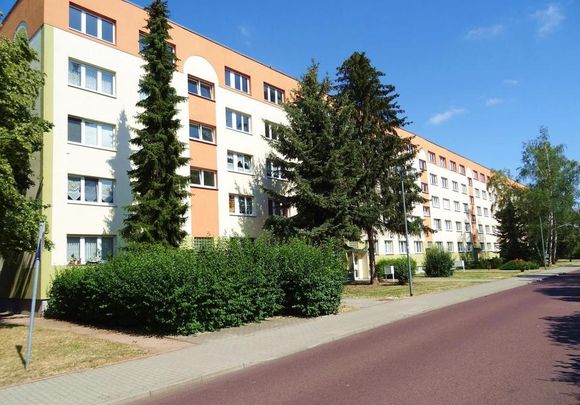 Geräumige 3-Raum-Wohnung im Erdgeschoss mit 2 Balkonen zu vermieten! - Photo 1