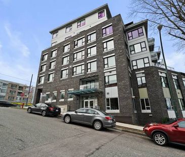 LARGE NEW COLLINGWOOD ONE BEDROOM BRIGHT!! - Photo 1