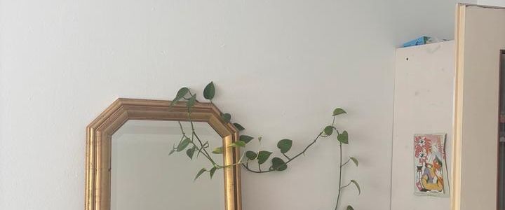 NUR TAUSCH: zentrale 1 Zimmer Wohnung gegen mehr Grün - Foto 1