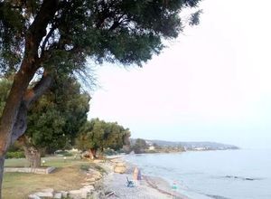 Μεζονέτα για ενοικίαση - Κασσάνδρα, - Photo 4