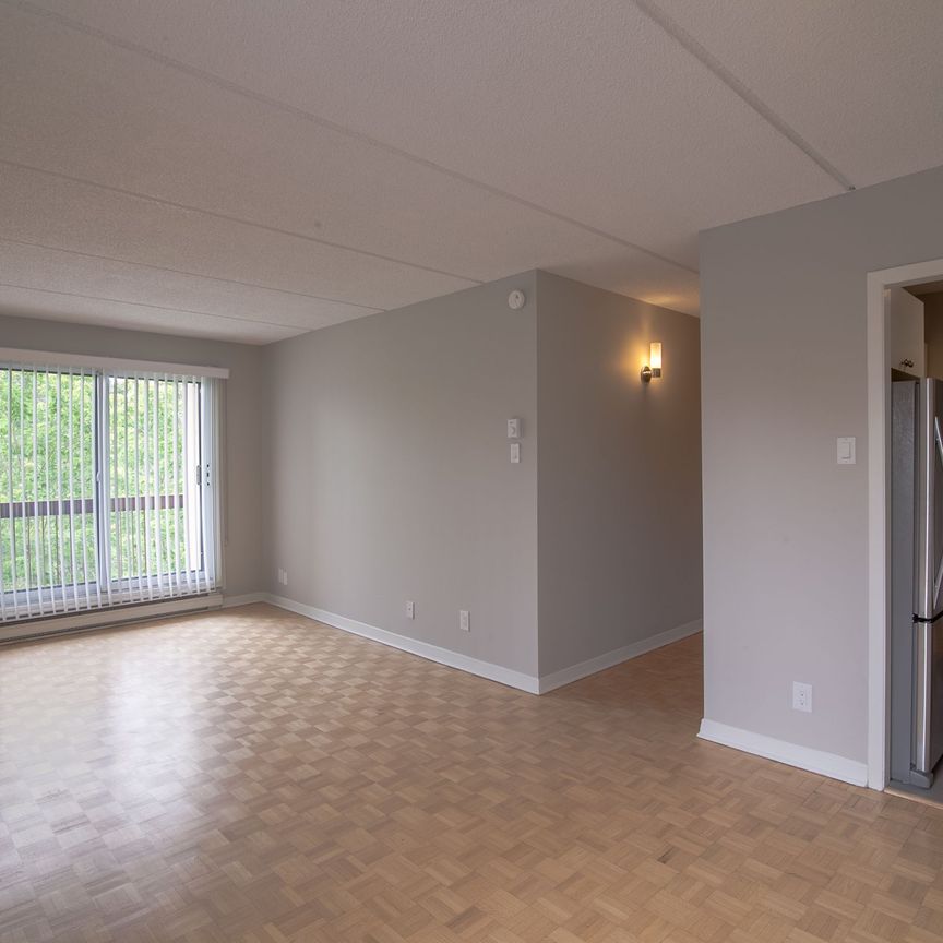 1550 Avenue Filion - Photo 1