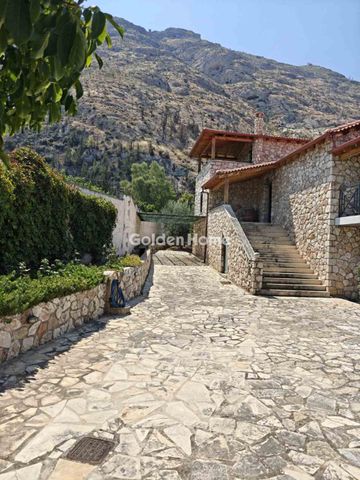 Ενοικίαση, Κατοικία, Μονοκατοικία - Photo 3