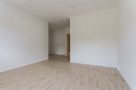 !!NEU!! sonnige 3-Raum-Wohnung im Chemnitzer Süden!! - Foto 3