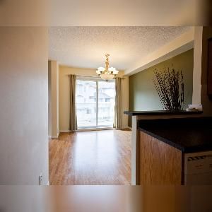 2 Bed 2 Bath Balcony Bisset SE Edmonton - Photo 3